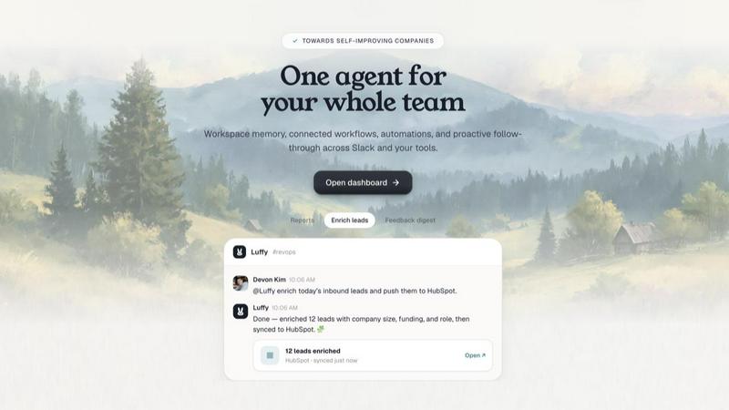 Luffy application interface and features