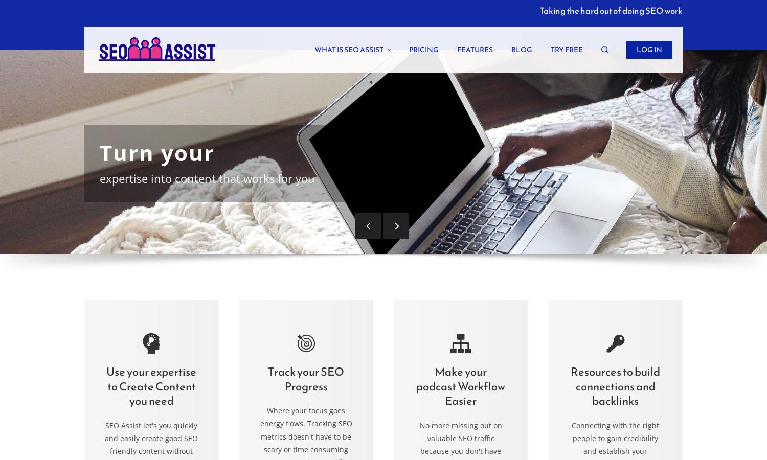 SEO Assist Website