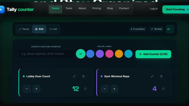 Tally counter application interface and features